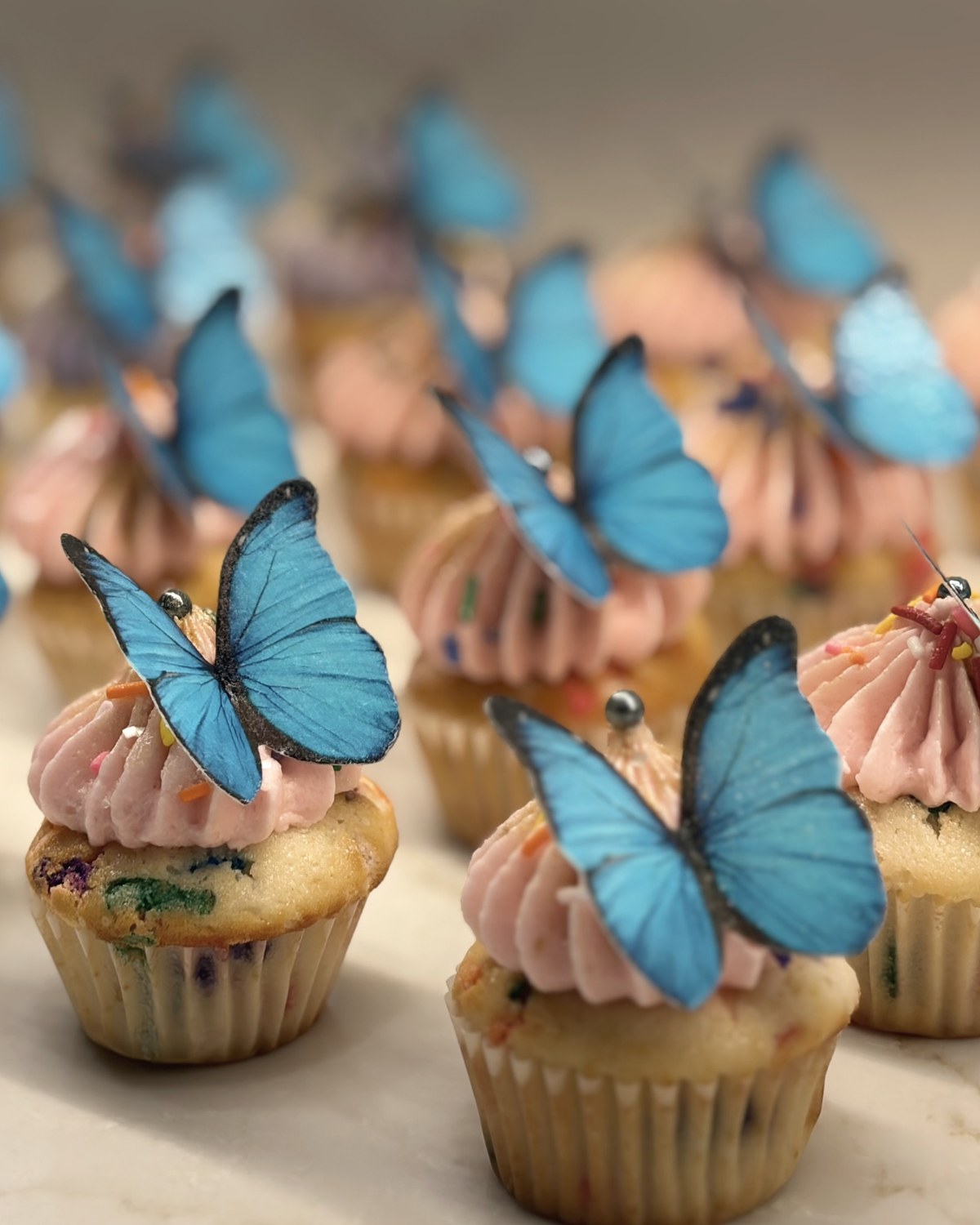 Small cupcakes with pink frosting and blue butterfly decorations